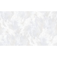 Обои Erismann 60797-05