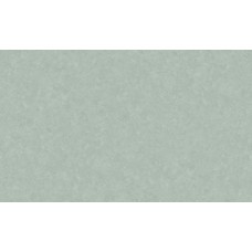 Обои Erismann 60972-05 Обои Erismann 60972-05