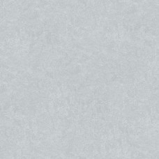 Обои Erismann 60847-04 Обои Erismann 60847-04