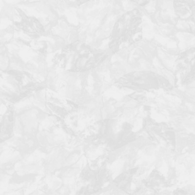 Обои Erismann 60637-03