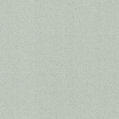 Обои Rasch 980356