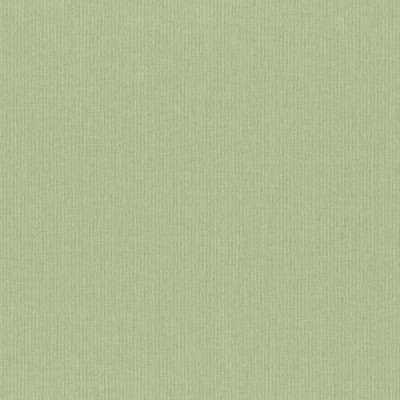 Обои Rasch 960716