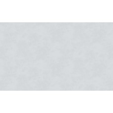 Обои Erismann 60319-04 Обои Erismann 60319-04