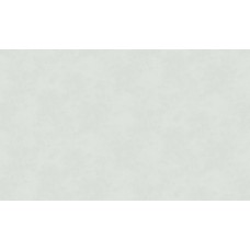 Обои Erismann 60319-03 Обои Erismann 60319-03