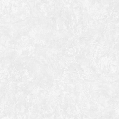 Обои VictoriaStenova 283277